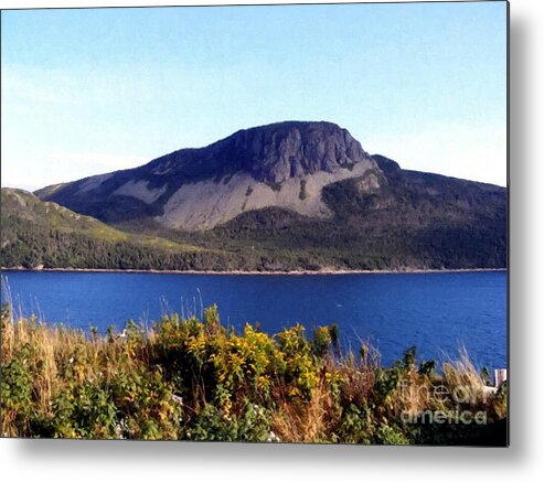 Sugarloaf Hill In Summer Metal Print featuring the painting Sugarloaf Hill in Summer by Barbara A Griffin