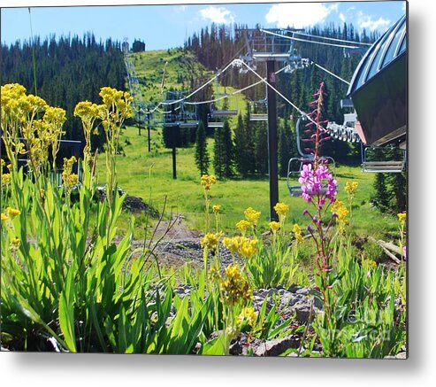 Green Metal Print featuring the photograph Summer at Wolf Creek by William Wyckoff