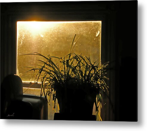 Window Metal Print featuring the photograph Sun Struck by The Art of Marsha Charlebois