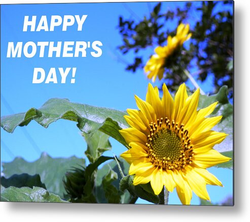 Blue Sky Metal Print featuring the photograph Sunny Mother's Day by Belinda Lee