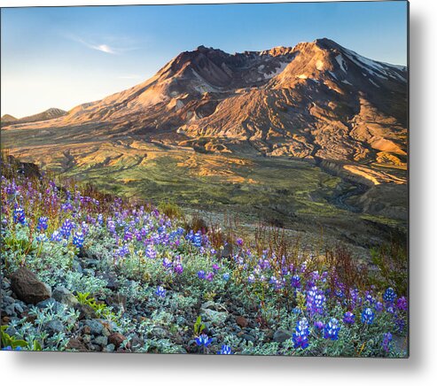 Sunrise Metal Print featuring the photograph Sunrise at Mount St. Helens by Kyle Wasielewski
