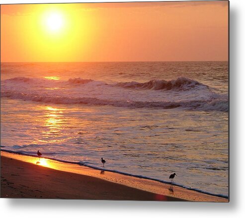 Beach Metal Print featuring the photograph Sunrise at Ocean Isle by Kelly Nowak