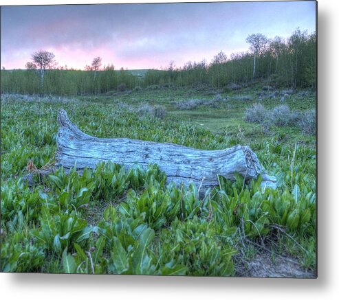 Elko Nevada Landscape Photography Metal Print featuring the photograph Sunrise at Sunflower Flats by Jenessa Rahn