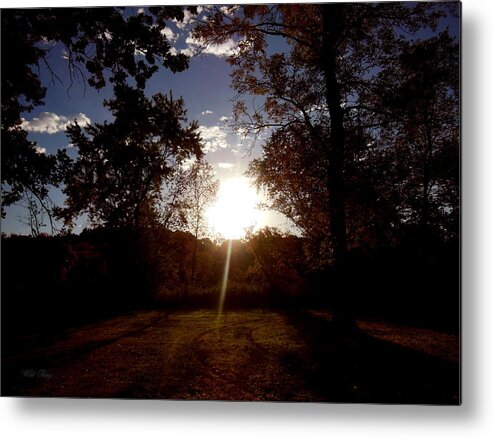 Morning Metal Print featuring the photograph Sunrise Autumn by Wild Thing