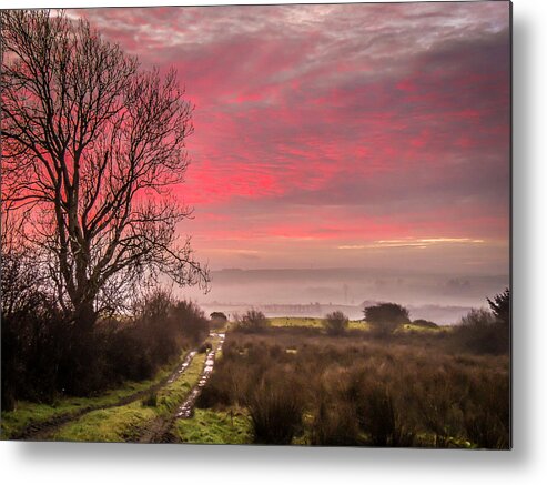 Ireland Metal Print featuring the photograph Sunrise over Decomade Pasture in County Clare by James Truett