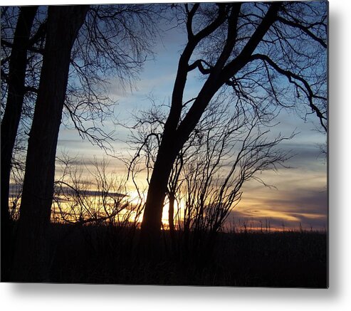 Sunset Metal Print featuring the photograph Idaho Sunset 1 by Larry Campbell