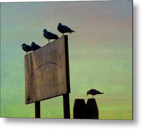 Seagull Metal Print featuring the photograph Sunset On The Sign by Gary Slawsky