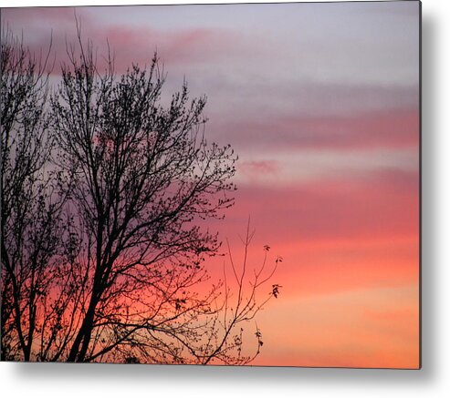 Landscape Metal Print featuring the photograph Sunset Silhouette by Ellen Meakin