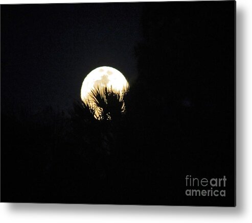 Moon Metal Print featuring the photograph Super Moon by Fortunate Findings Shirley Dickerson