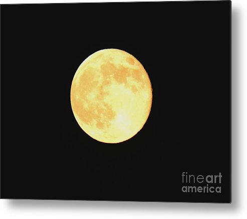 Supermoon Metal Print featuring the photograph Supermoon 2013 by Chad Thompson