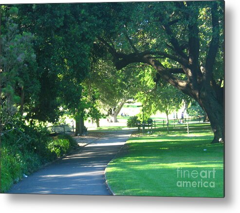 Trees Metal Print featuring the photograph Sydney Botanical Gardens walk by Leanne Seymour