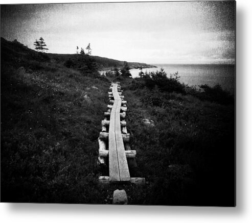 Sea Metal Print featuring the photograph Take Me to the Sea - East Coast Trail by Zinvolle Art