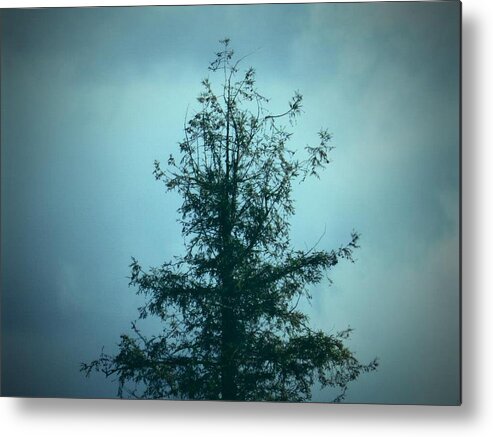 Tree Metal Print featuring the photograph Tall Tree in a Gray Sky by Kelli Medart