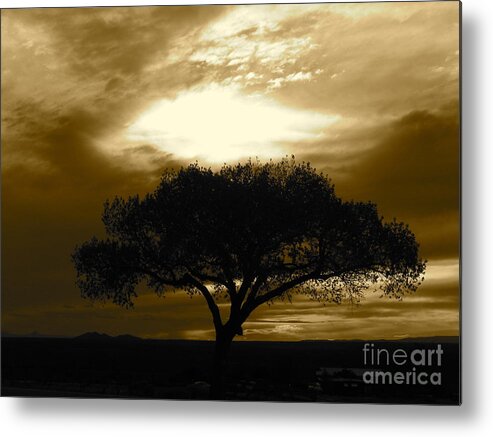 Tree Metal Print featuring the photograph Taos Tree by LeLa Becker