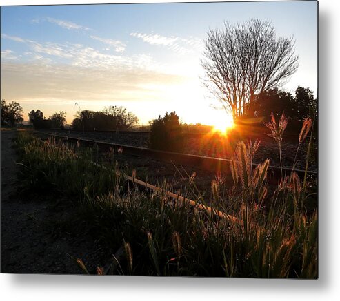 Templeton Metal Print featuring the photograph Templeton Tracks by Paul Foutz