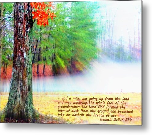 Genesis Metal Print featuring the photograph The Breath of Life by Pamela Hyde Wilson