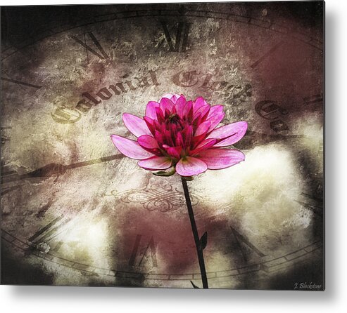 Pink Metal Print featuring the photograph The Color Of Springtime - Vintage Art by Jordan Blackstone by Jordan Blackstone