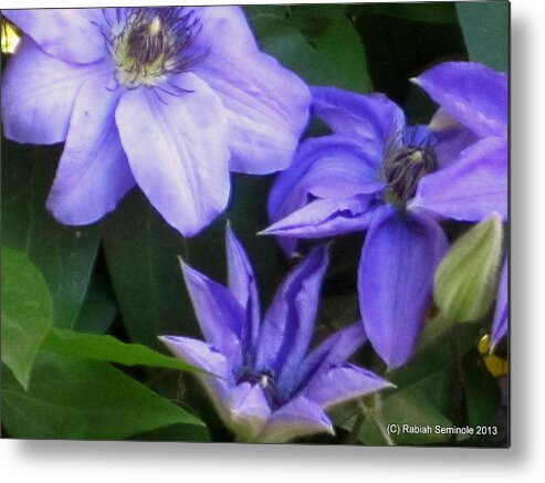 Flowers Metal Print featuring the photograph The color purple by Rabiah Seminole