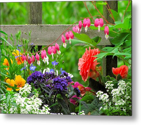 Photography Metal Print featuring the photograph The Dance of Spring by Sean Griffin