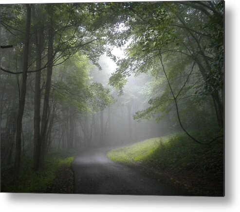 Peace Metal Print featuring the photograph The Light Leading Home by Diannah Lynch