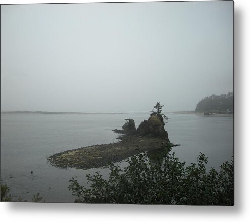 Landscape Metal Print featuring the photograph The Little Island by Marian Jenkins