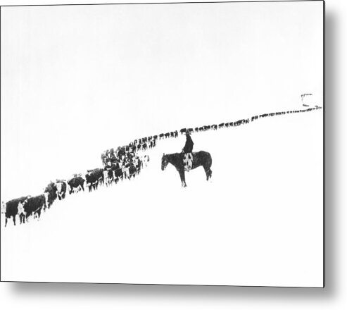 1920s Metal Print featuring the photograph The Long Long Line by Underwood Archives Charles Belden
