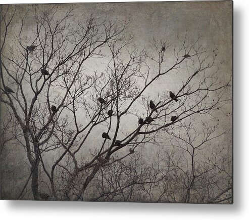 Blackbirds Metal Print featuring the photograph The Morning Of by Angie Rea