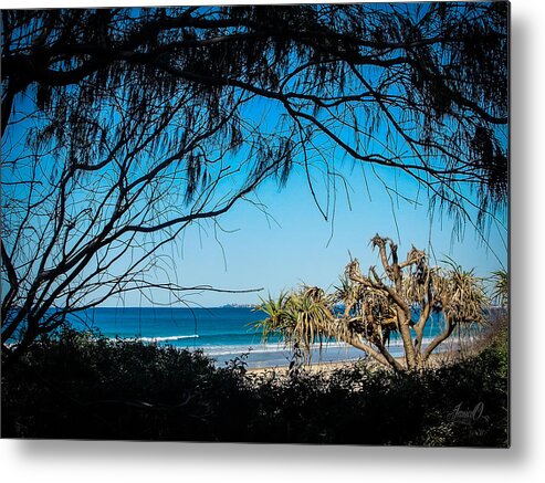 Beach Metal Print featuring the digital art The Old Tree by Janice OConnor