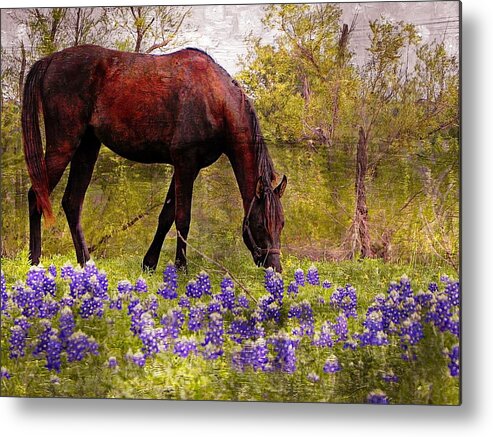Horse Metal Print featuring the photograph The Pasture by Kathy Churchman