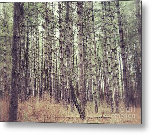 Trees Metal Print featuring the photograph The Preaching of the Pines by Kerri Farley