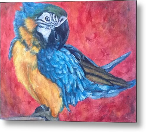 Parrot Metal Print featuring the painting The Pretentious Parrot by Bonnie Peacher