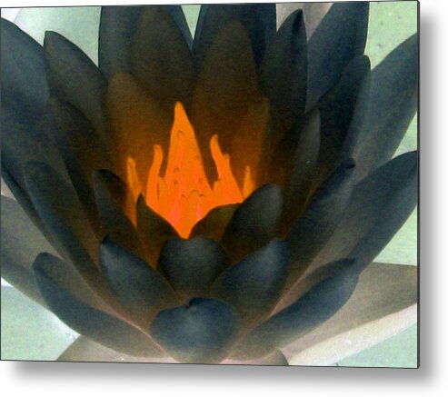 Water Lilies Metal Print featuring the photograph The Water Lilies Collection - PhotoPower 1038 by Pamela Critchlow