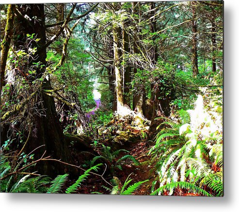 Forest Metal Print featuring the photograph Through the Woods by Pamela Patch