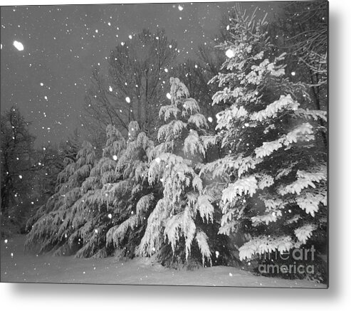 Evergreen Metal Print featuring the photograph Time For Bed by Elizabeth Dow