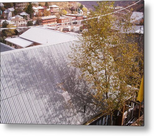 Tree Metal Print featuring the photograph Tin Roof by David S Reynolds