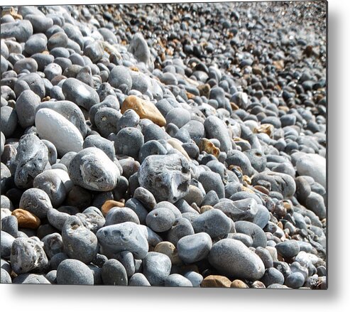 Pebble Beach Metal Print featuring the photograph To the Right by Laura Hol Art