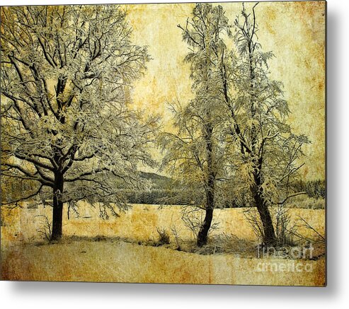 Digital Art Metal Print featuring the photograph Tranquility of the Cold by Edmund Nagele FRPS