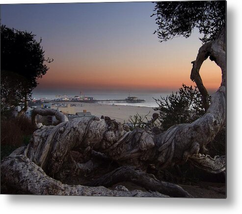 Beach Metal Print featuring the photograph Tree and Pier by Steve Ondrus