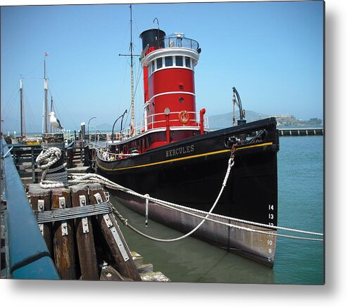 Seagull Metal Print featuring the photograph Tug Boat by Carlos Diaz