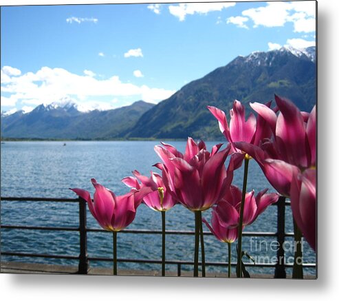 Sky Metal Print featuring the photograph Tulips at Lake Geneva by Amanda Mohler