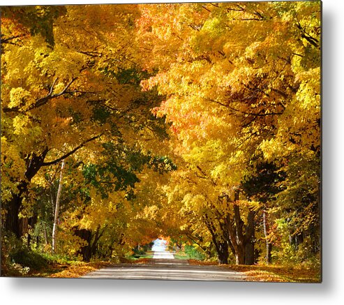 Fall Metal Print featuring the photograph Tunnel of Yellow Leaves by David T Wilkinson