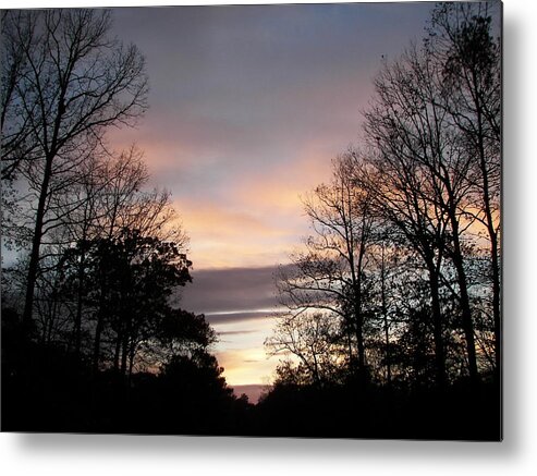 Scenic Metal Print featuring the photograph Twilight 1 by Pamela Hyde Wilson