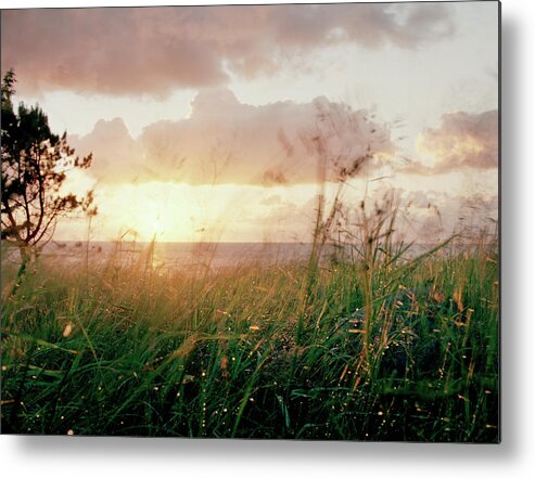 Tranquility Metal Print featuring the photograph Twilight After Rain by Muriel De Seze