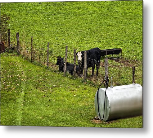 Glady Metal Print featuring the photograph Two Gas Sources by Steve Harrington