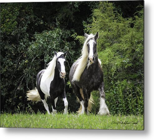 Equine Metal Print featuring the photograph Two Lovely Girls by Terry Kirkland Cook