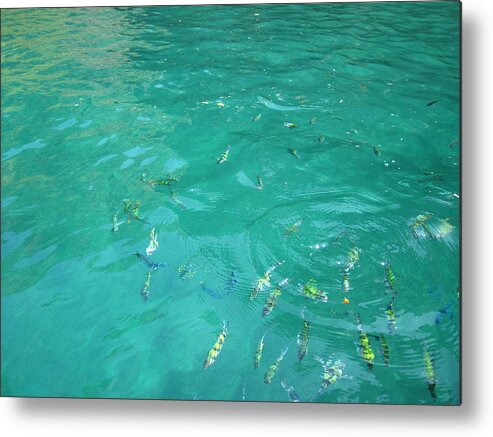 Phi Metal Print featuring the photograph Underwater - Long Boat Tour - Phi Phi Island - 01136 by DC Photographer