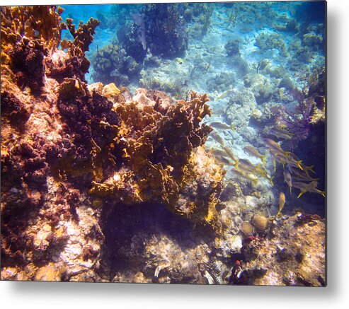 Catamaran Metal Print featuring the photograph Underwater No. 4 by Kathryn McBride