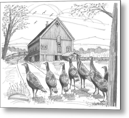Vermont Wild Turkeys Metal Print featuring the drawing Vermont Wild Turkeys by Richard Wambach