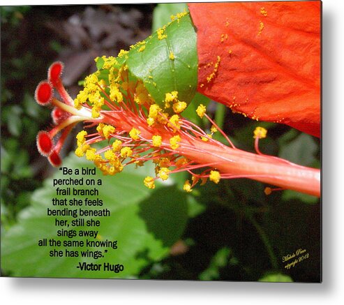 Flower Photograph Metal Print featuring the photograph Victor Hugo by Michele Penn