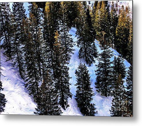High Places Metal Print featuring the photograph View of Evergreens at Beaver Creek Colorado by Jacqueline M Lewis